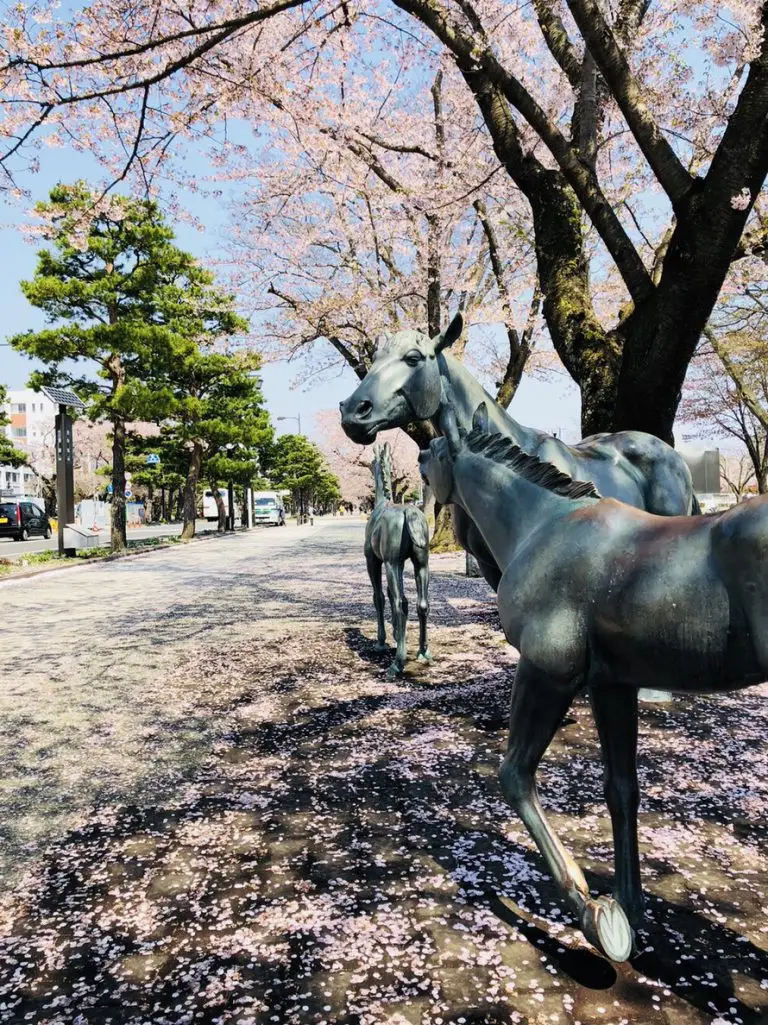 十和田市と馬の歴史