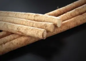 ごぼう / 青森県十和田市