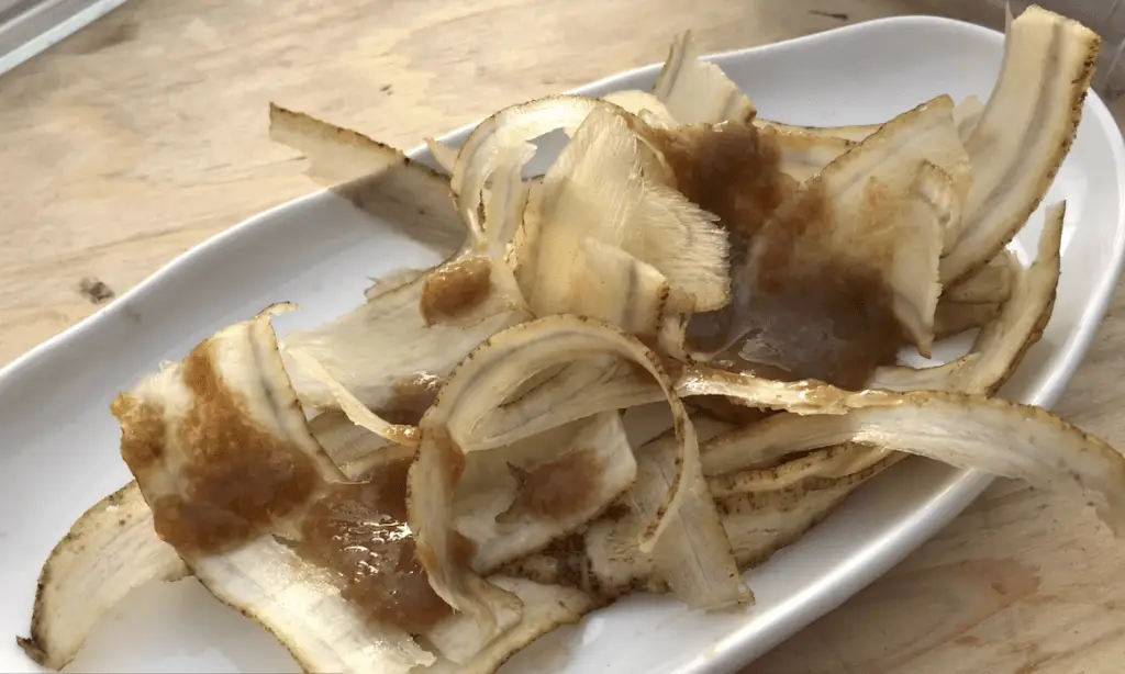 ごぼう / 青森県十和田市 3 ごぼう / 青森県十和田市