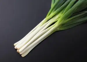 ねぎ / 青森県十和田市