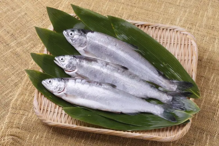 十和田湖ひめます / 青森県十和田市