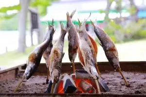 Lake Towada Kokanee (Sockeye Salmon) / TOWADA CITY