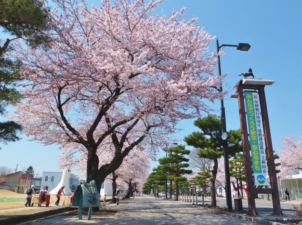 十和田市官庁街通り（駒街道）/ 青森県十和田市
