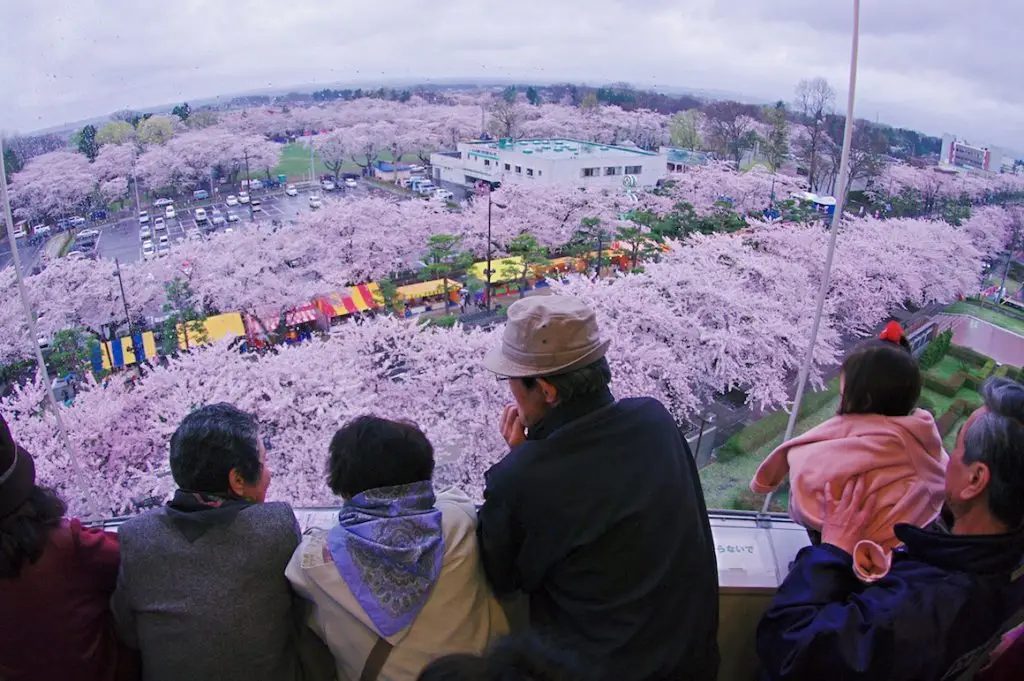 十和田市官庁街通り(駒街道)/ 青森県十和田市 7