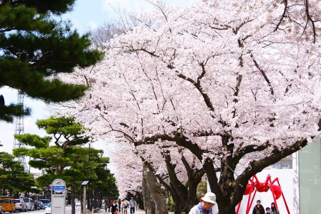 Towada Modern Art Museum | A Creative Hub Where Art and the City Intersect 3 Towada Modern Art Museum / TOWADA CITY