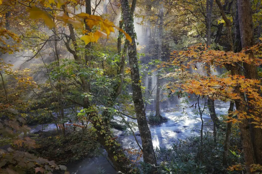 Oirase Gorge / TOWADA CITY