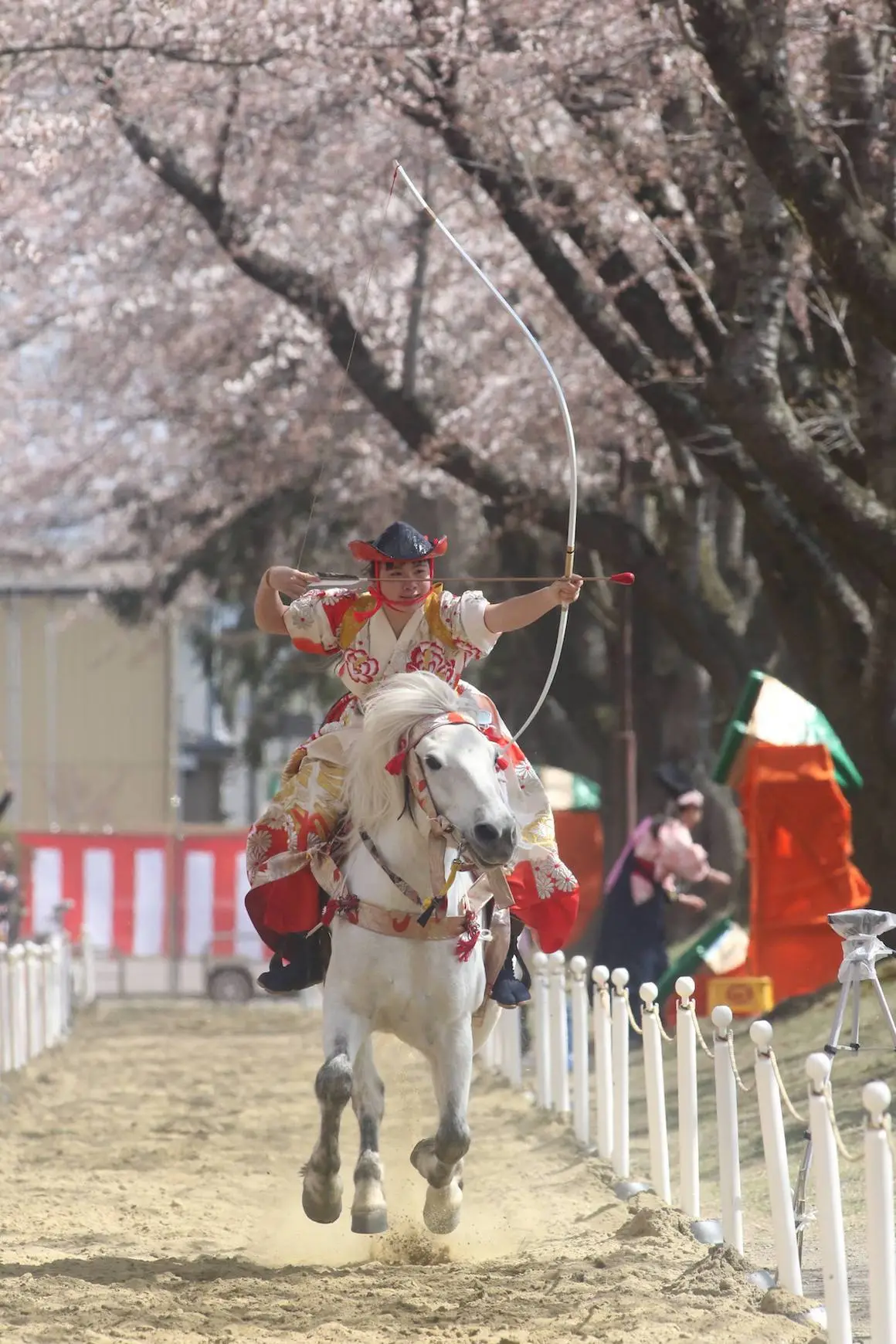 Sakura-Yabusame / TOWADA CITY