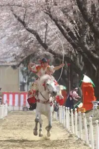 樱流镝马 / 青森县十和田市