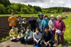 青森県十和田市の伝統工芸品「きみがらスリッパ」の原材料デントコーンの種まき作業