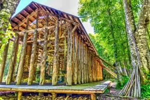 ゲストハウス蒼星の森