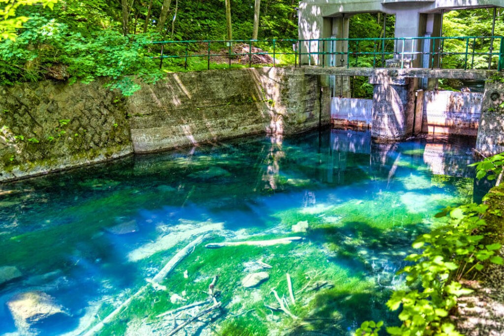子ノ口制水門 | 新緑の水鏡が美しい場所