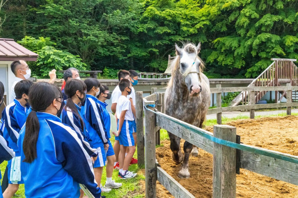 青森の馬文化に関する勉強会
