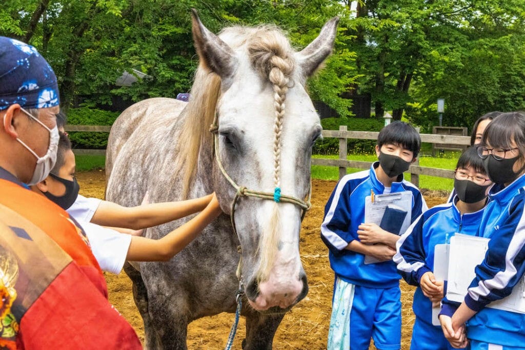 青森の馬文化に関する勉強会