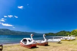 十和田湖アヒルボート