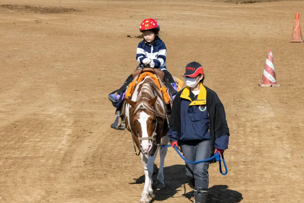 十和田乗馬倶楽部　体験乗馬