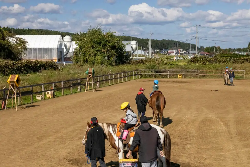 十和田乗馬倶楽部　体験乗馬