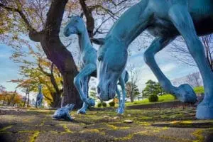 十和田市官庁街通り | 馬と蛙のオブジェ