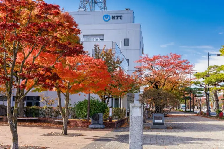 十和田市官庁街通り