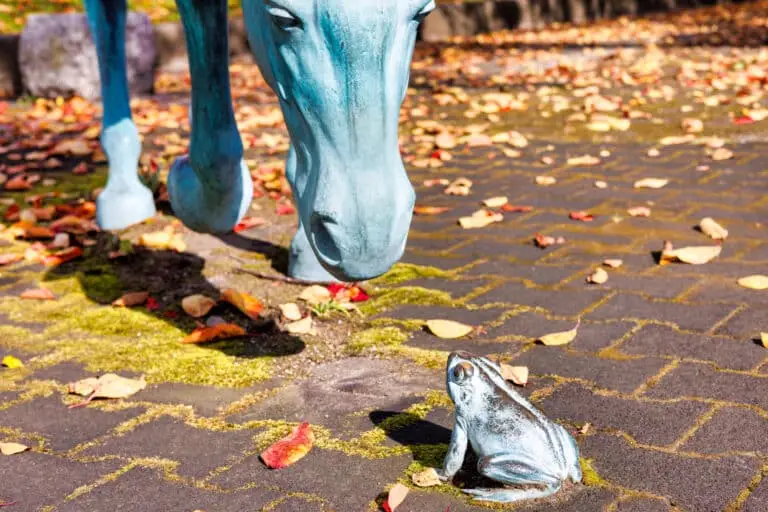 十和田市官庁街通り