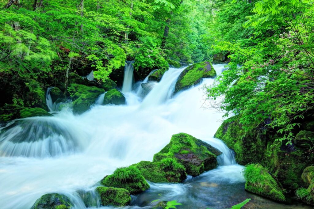 奥入瀬渓流 見どころ | Oirase Gorge | 新緑・紅葉の名所 | 青森県 