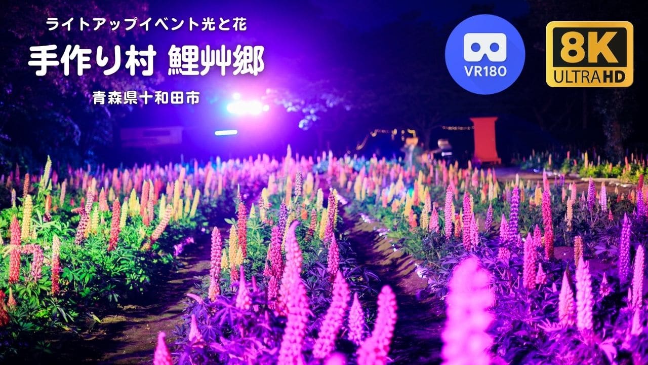 【 8K VR180 】手作り村鯉艸郷 - ライトアップイベント光と花 - 青森県十和田市