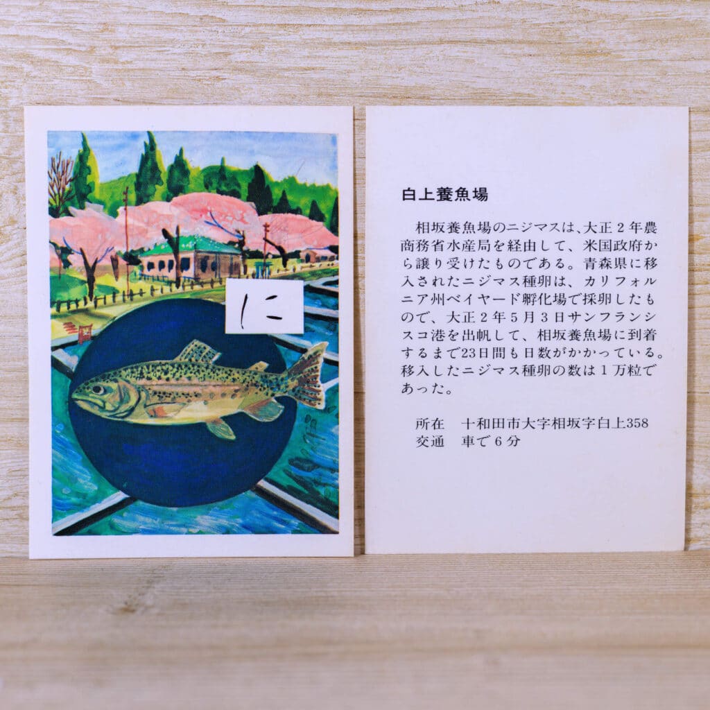 に-ニジマスのふるさと 白上養魚場-説明-十和田かるた1977