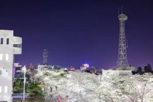 夜桜 十和田市役所3階展望ロビー