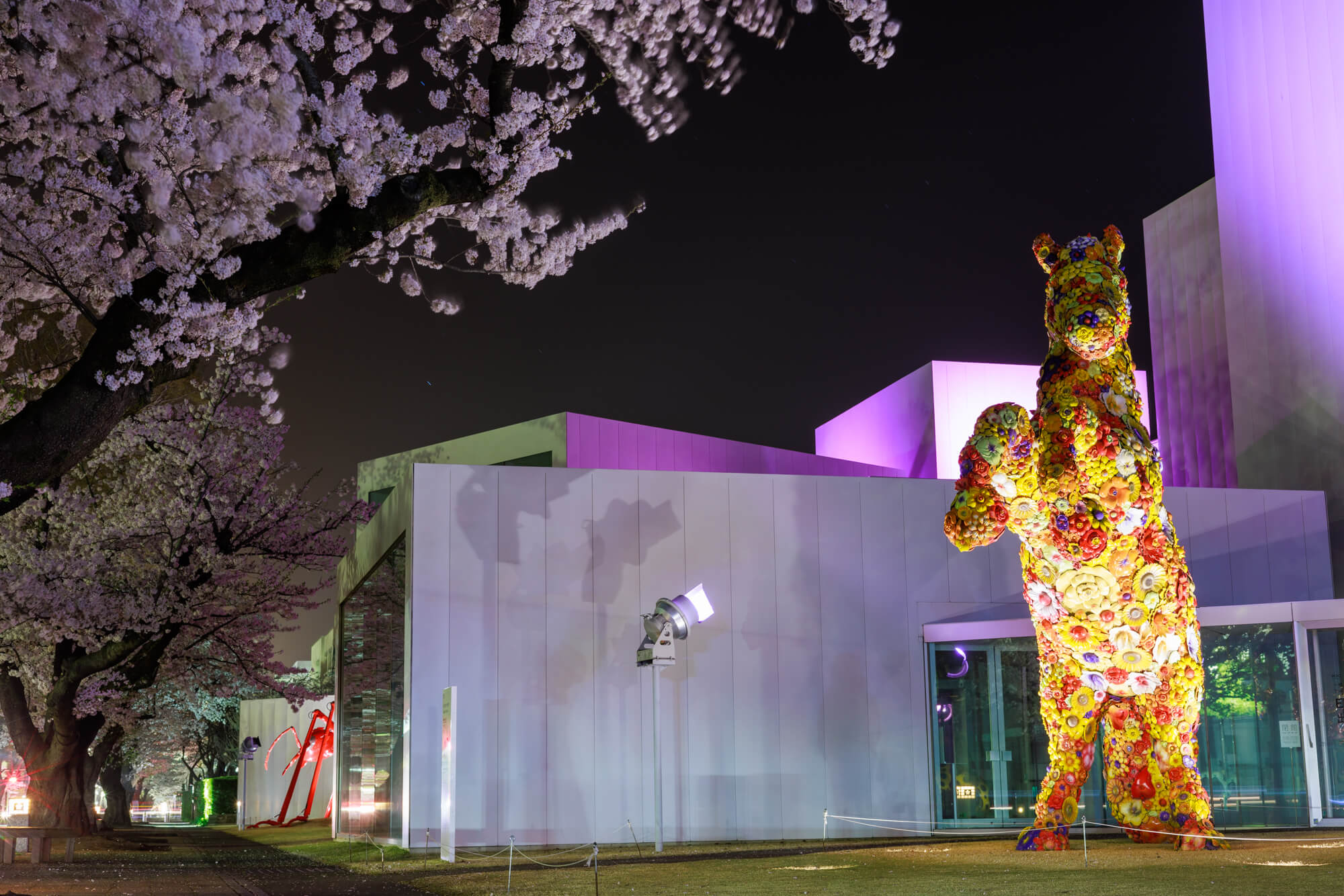 夜桜とフラワーホース | 十和田市現代美術館