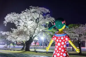 夜桜とアート作品 | 草間彌生