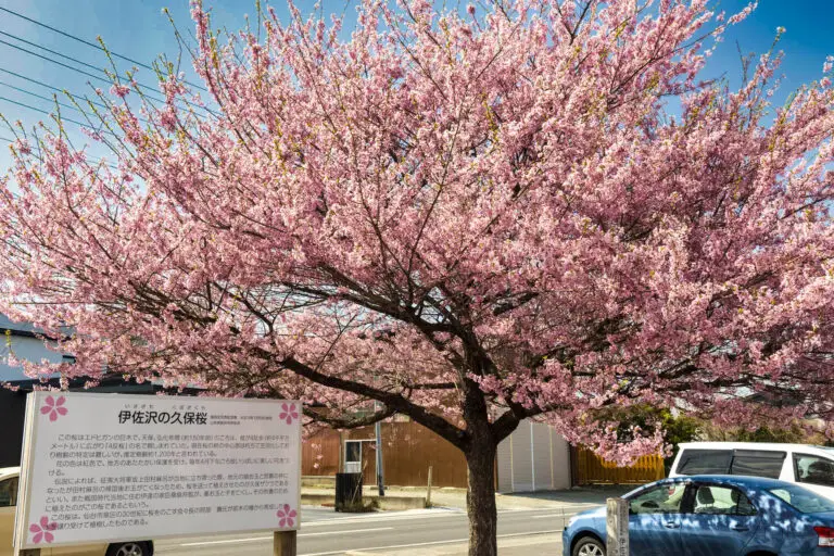 伊佐沢の久保楼