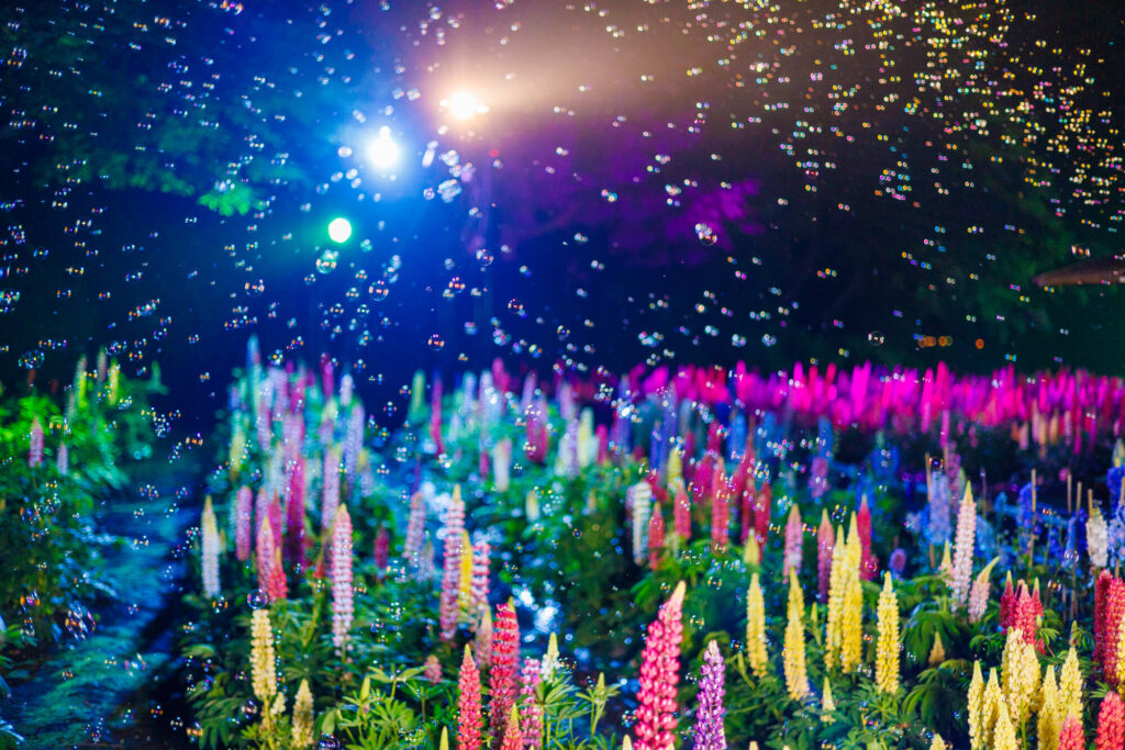 手づくり村 鯉艸郷（りそうきょう）ライトイベント”光と花”