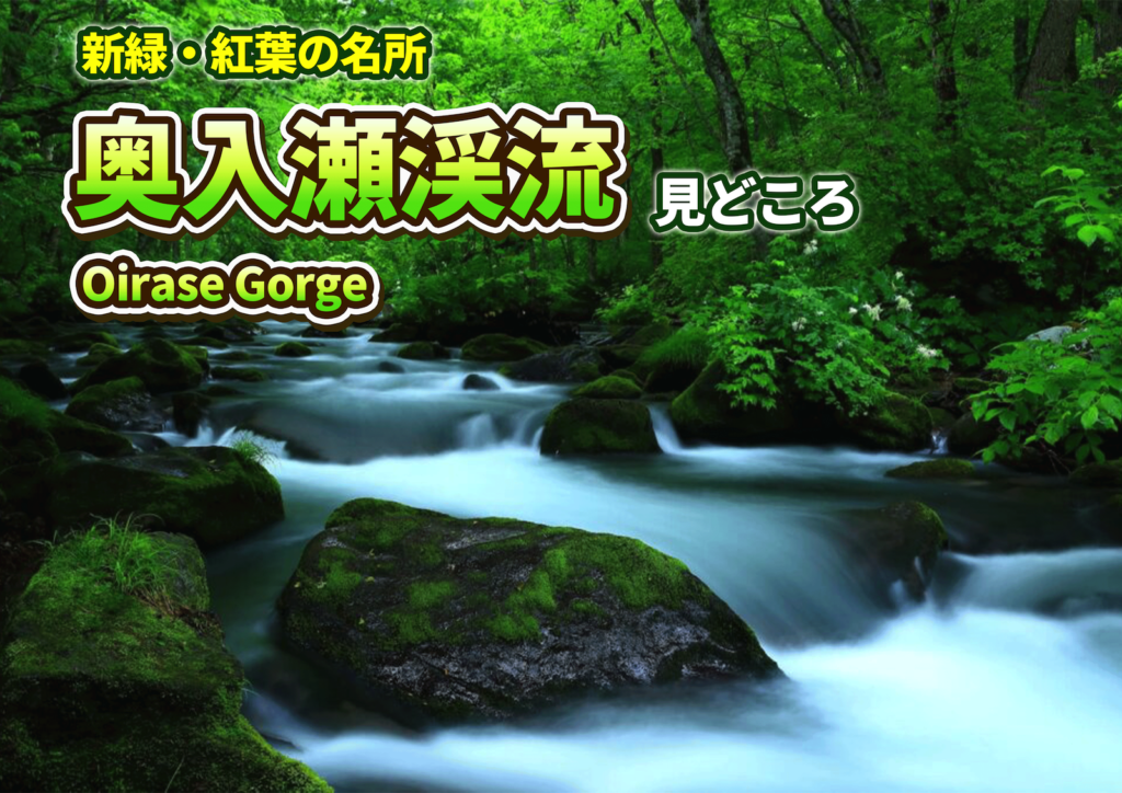 奥入瀬渓流 見どころ Oirase gorge
