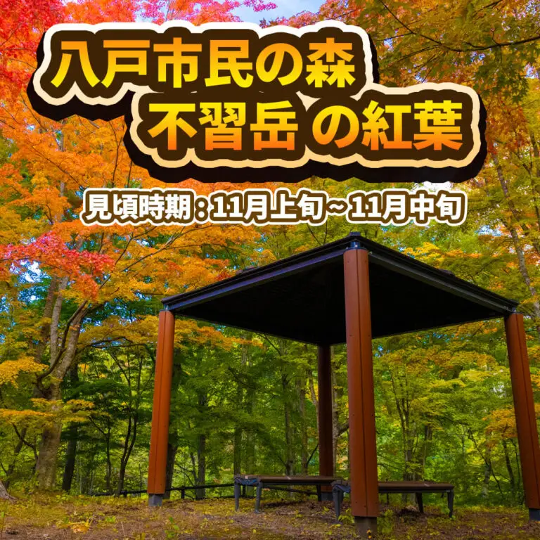 八戸市民の森 不習岳の紅葉 | 青森県八戸市