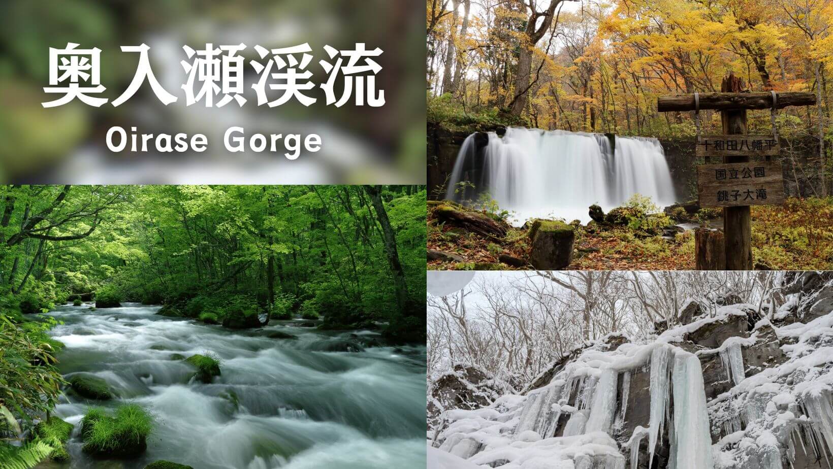 奥入瀬渓流-Oirase-Gorge