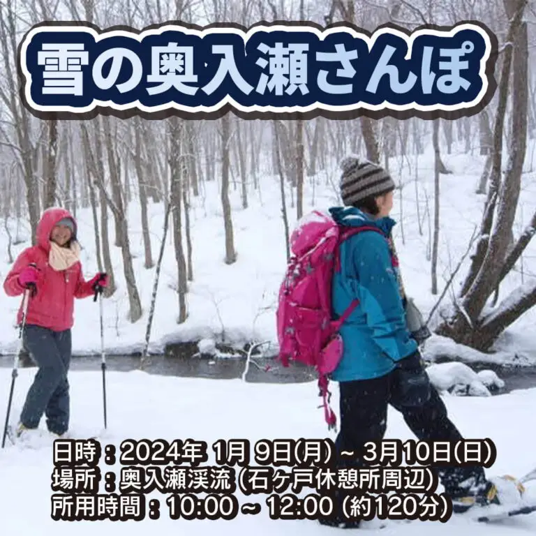 雪の奥入瀬さんぽ-奥入瀬渓流 | 青森県十和田市