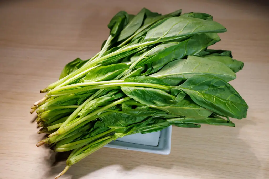 ほうれん草_十和田市産-青森県産食材