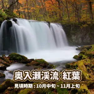 奥入瀬渓流-紅葉-青森県十和田市