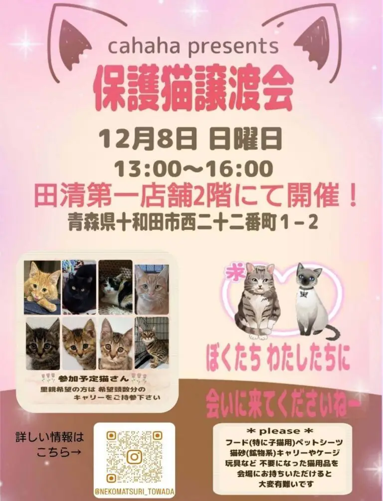 cahaha presents 保護猫譲渡会 | 青森県十和田市