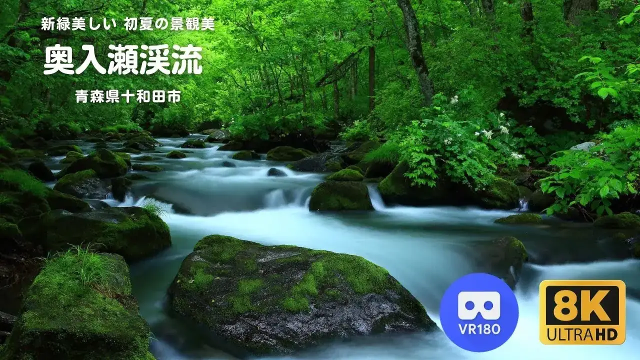 動画のサムネイル: 【 8K VR180 】奥入瀬渓流 - 新緑 - 十和田八幡平国立公園 - 青森県十和田市 - Oirase Gorge