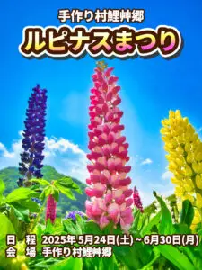ルピナスまつり - 手作り村鯉艸郷 | 青森県十和田市