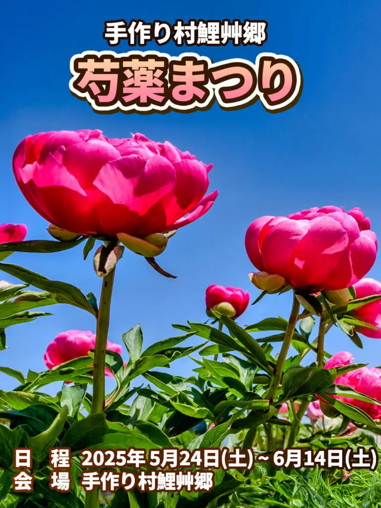 芍薬まつり - 手作り村鯉艸郷 | 青森県十和田市