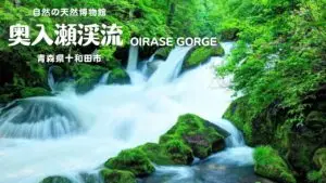 奥入瀬渓流 | 青森県十和田市