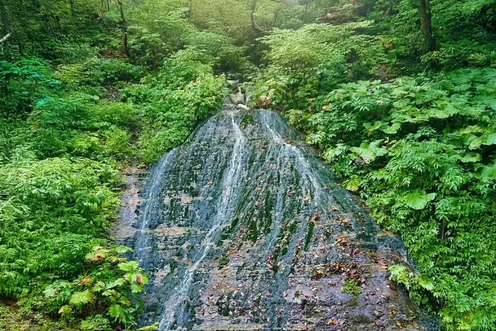玉簾の滝