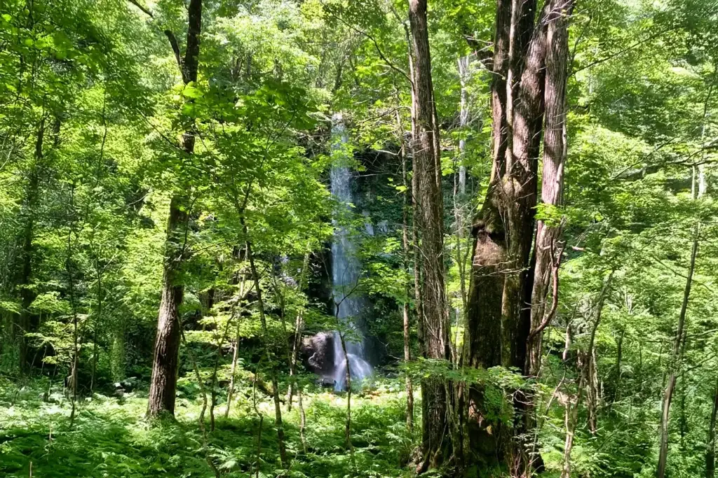 白糸の滝