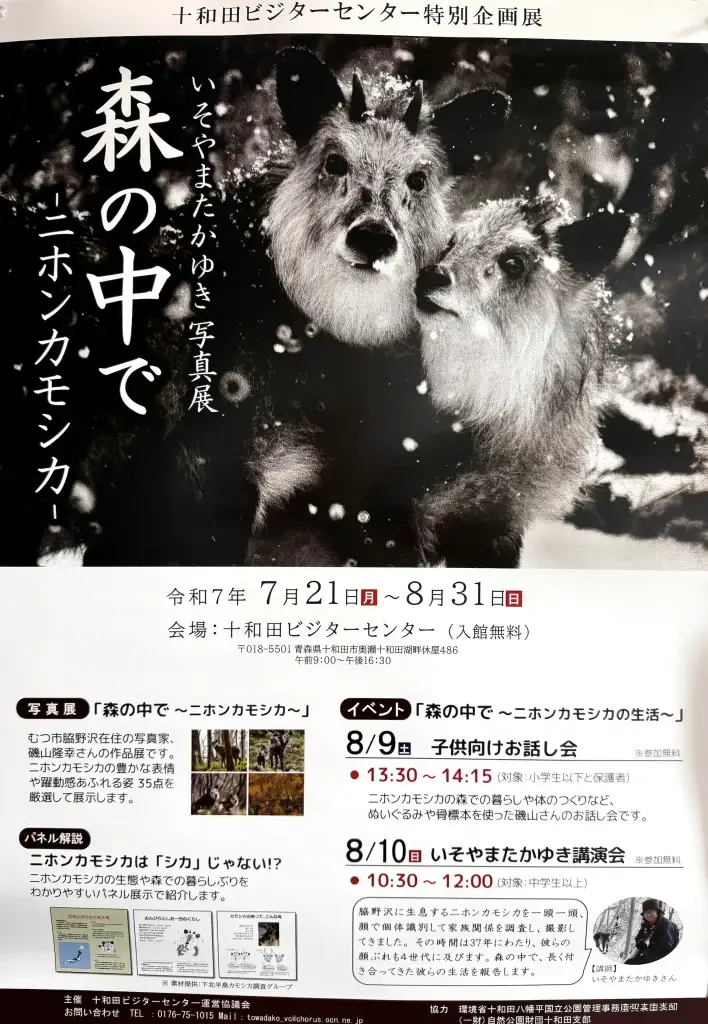 いそやまたかゆき写真展「森の中で -ニホンカモシカ-」｜十和田ビジターセンターで開催 | 青森県十和田市