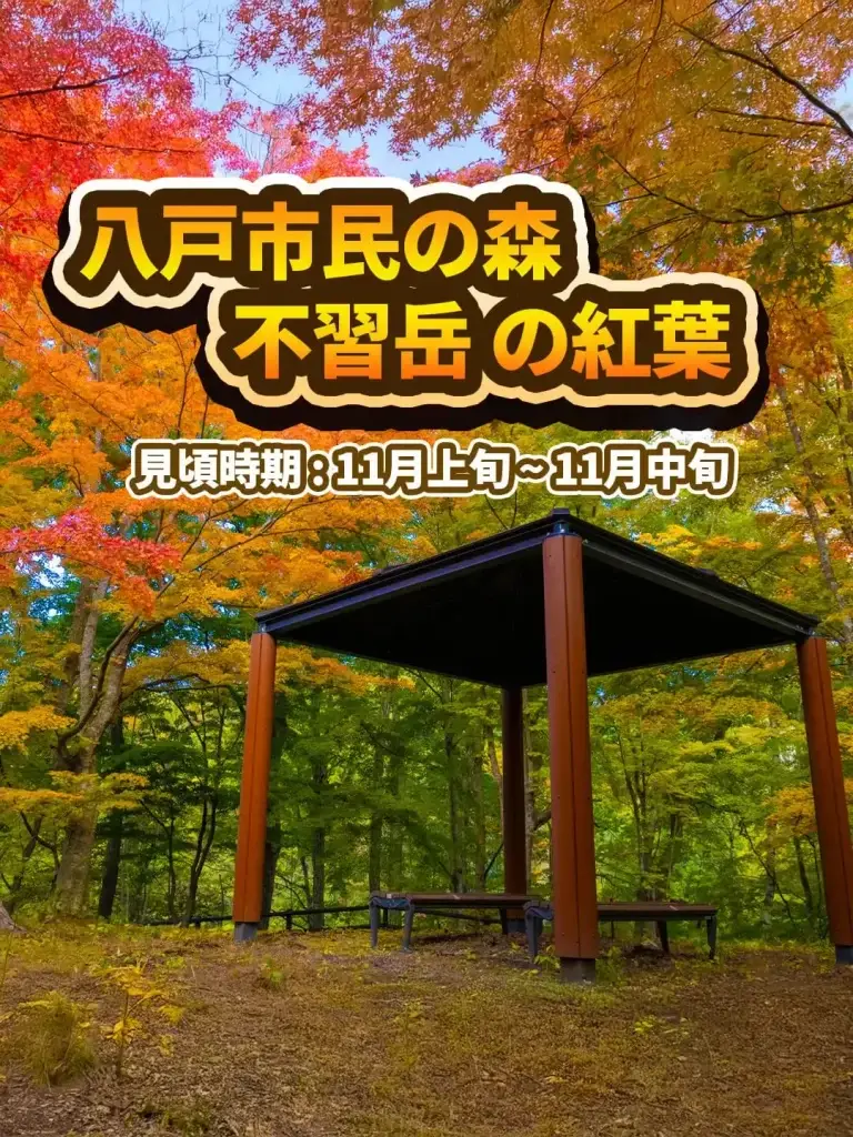 八戸市民の森 不習岳(ならわずだけ) 紅葉まつり＆もみじ園ライトアップ | 青森県八戸市