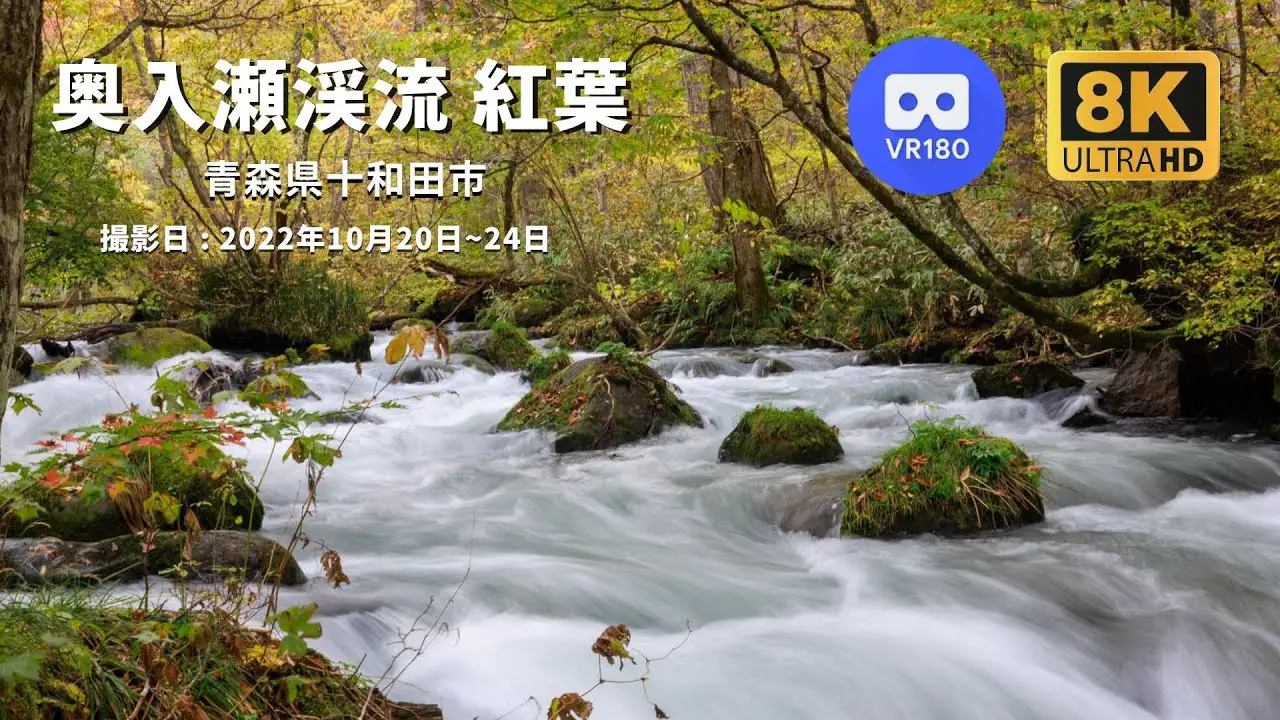 奥入瀬渓流 - 紅葉・黄葉VR