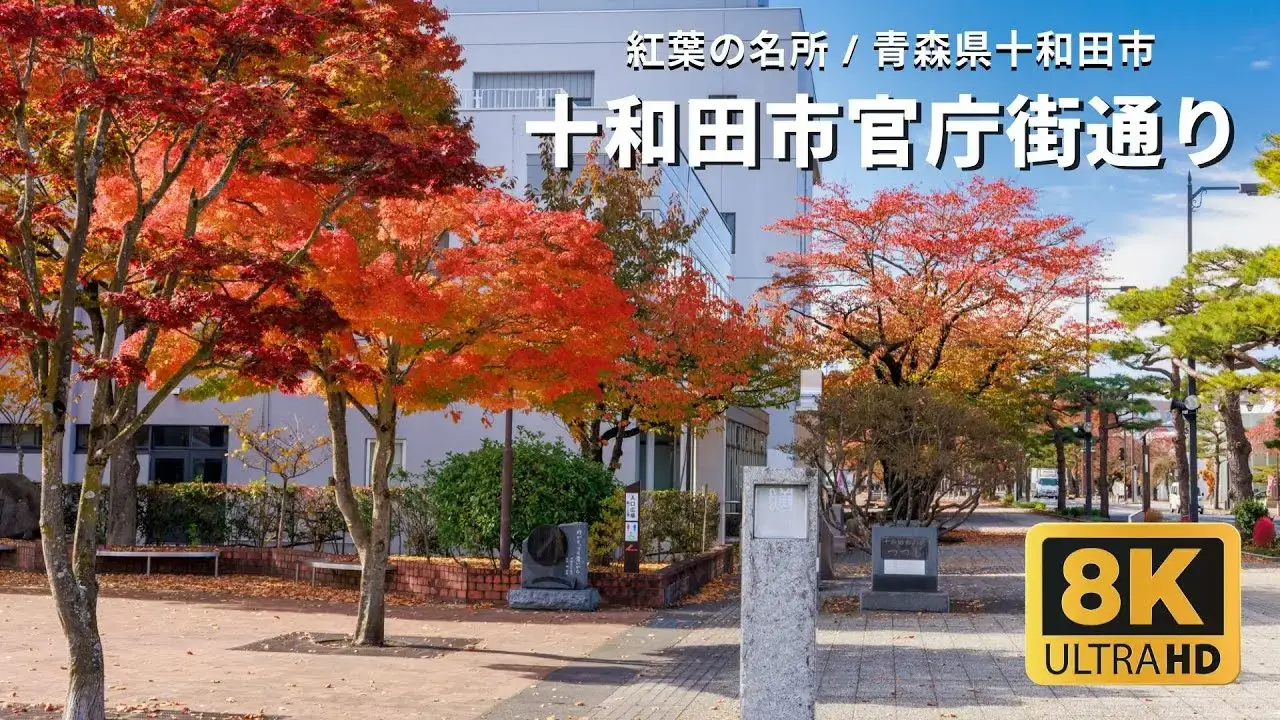 青森県の紅葉名所 - 青森県十和田市 十和田市官庁街通り 日本の道100選