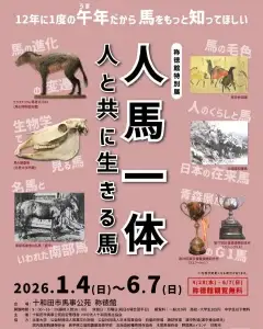 称徳館特別展 人馬一体～人と共に生きる馬～ | 午年記念 馬の特別展 | 青森県十和田市