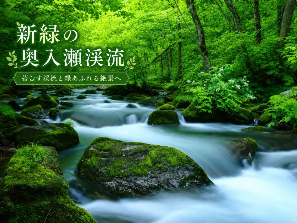 奥入瀬渓流｜新緑・紅葉・氷瀑を巡る四季の絶景トレイル